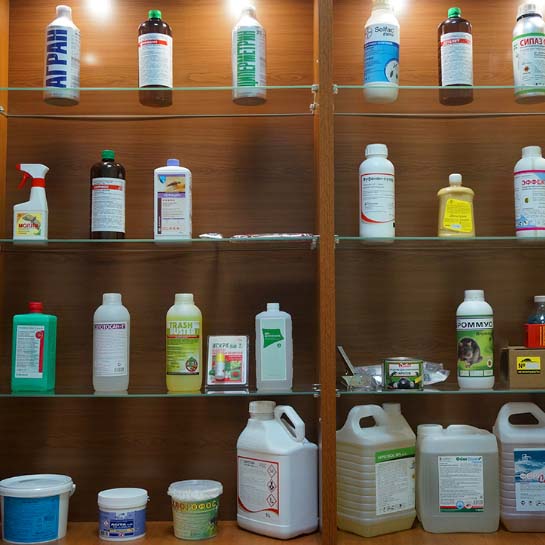 Изображение-3